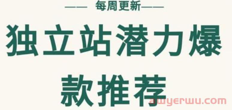 【跨境B哥】独立站潜力爆款选品推荐课程（每周更新） 价值599元（视频网盘） 第1张