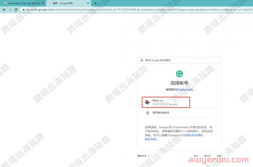 【谷歌浏览器技巧】如何检测语法和拼写错误？ 第9张