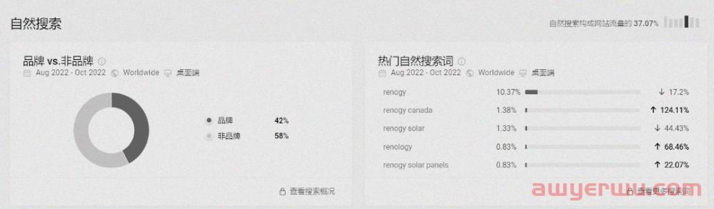 月均流量破百万！85后女博士的新能源独立站 第5张