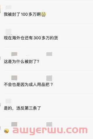 大卖如何玩转亚马逊蓝海成人类目! 第4张 大卖如何玩转亚马逊蓝海成人类目! 第4张