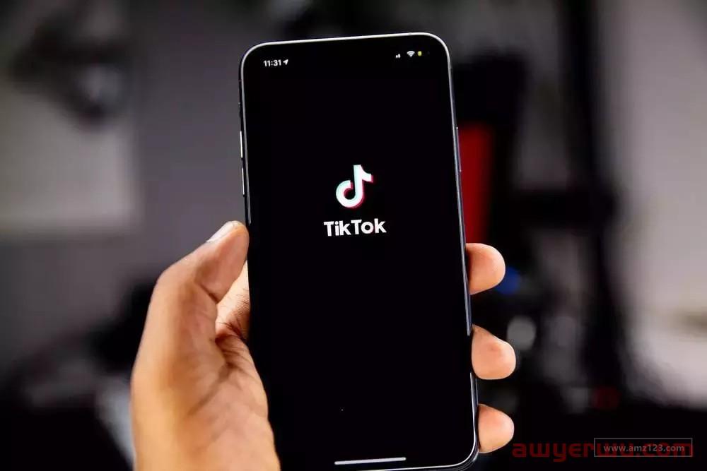 罗永浩入局TikTok直播，海外直播带货时代来临？ 第3张