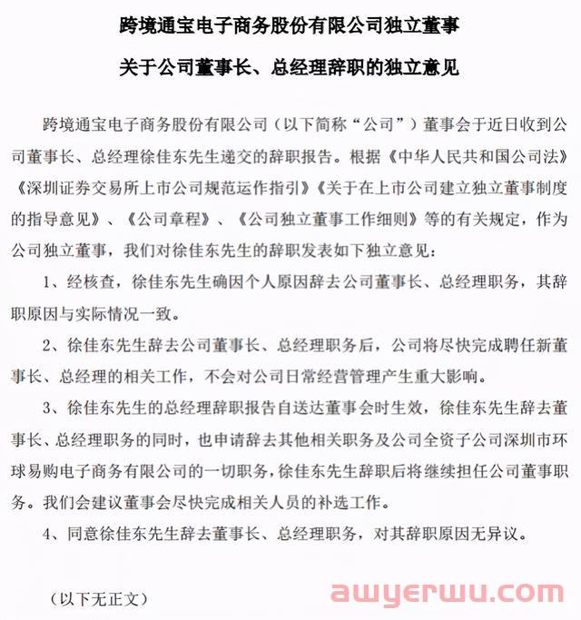 一声叹息，环球易购创始人、“博士跨境人”徐佳东被立案调查 第6张