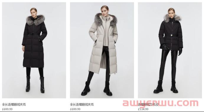 连教培机构都下场的羽绒服赛道,卷得出海外吗? 第3张 连教培机构都下场的羽绒服赛道,卷得出海外吗? 第3张