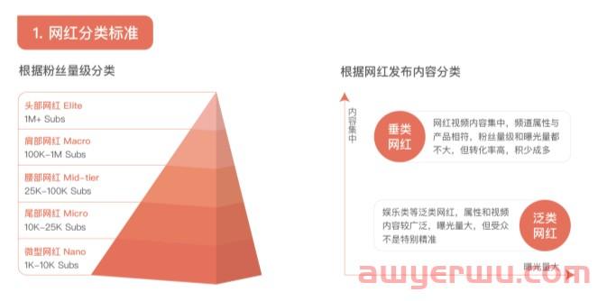 网红营销是什么意思？网红营销常见问题有哪些需要注意 第4张