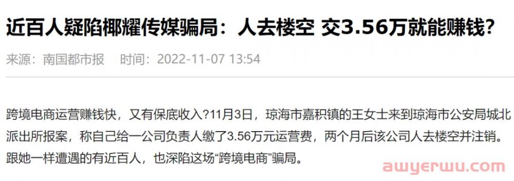 Temu招商会变诈骗大会？揭穿跨境骗局！ 第2张