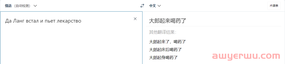 语言不是问题！俄罗斯OZON超实用运营必备工具大全给你准备好了！！ 第4张