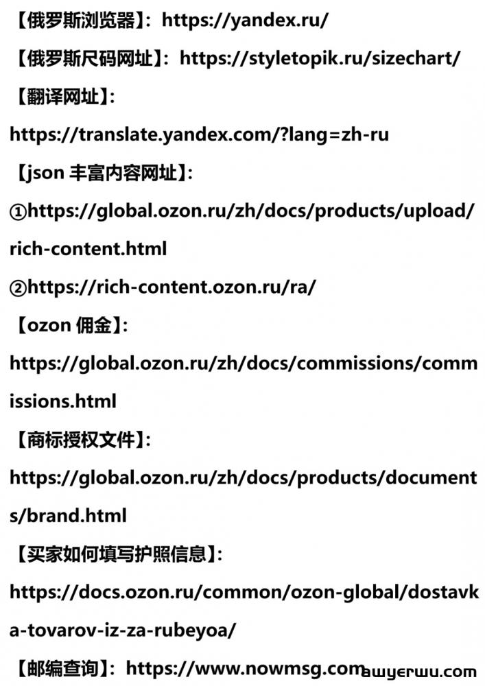 语言不是问题！俄罗斯OZON超实用运营必备工具大全给你准备好了！！ 第6张