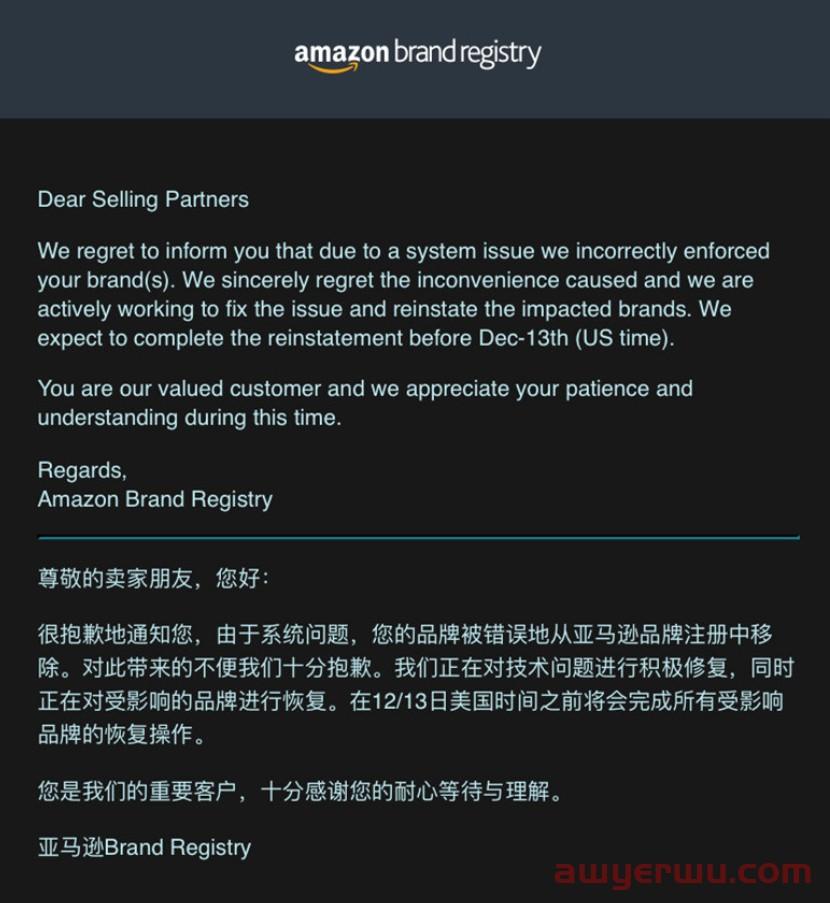 亚马逊移除的8000品牌一夜恢复了？商标暴雷，毁掉的不仅是店铺 第2张