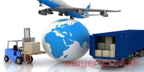 圣诞节大促指南,除了提报折扣还有这些爆单技巧要掌握! 第1张 圣诞节大促指南,除了提报折扣还有这些爆单技巧要掌握! 第1张