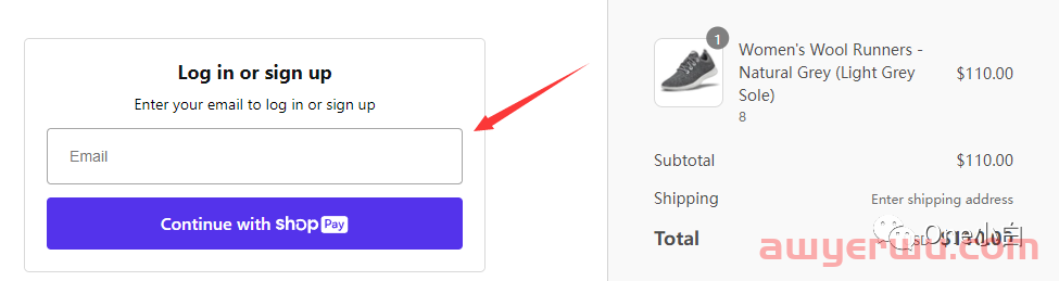 什么是 Shopify 快捷结账方式 Shop Pay？ 第5张