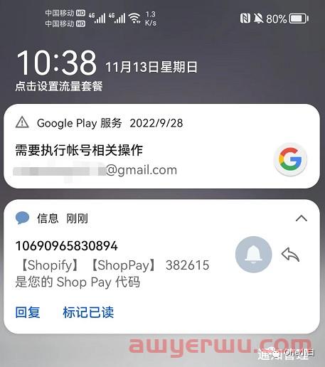 什么是 Shopify 快捷结账方式 Shop Pay？ 第7张