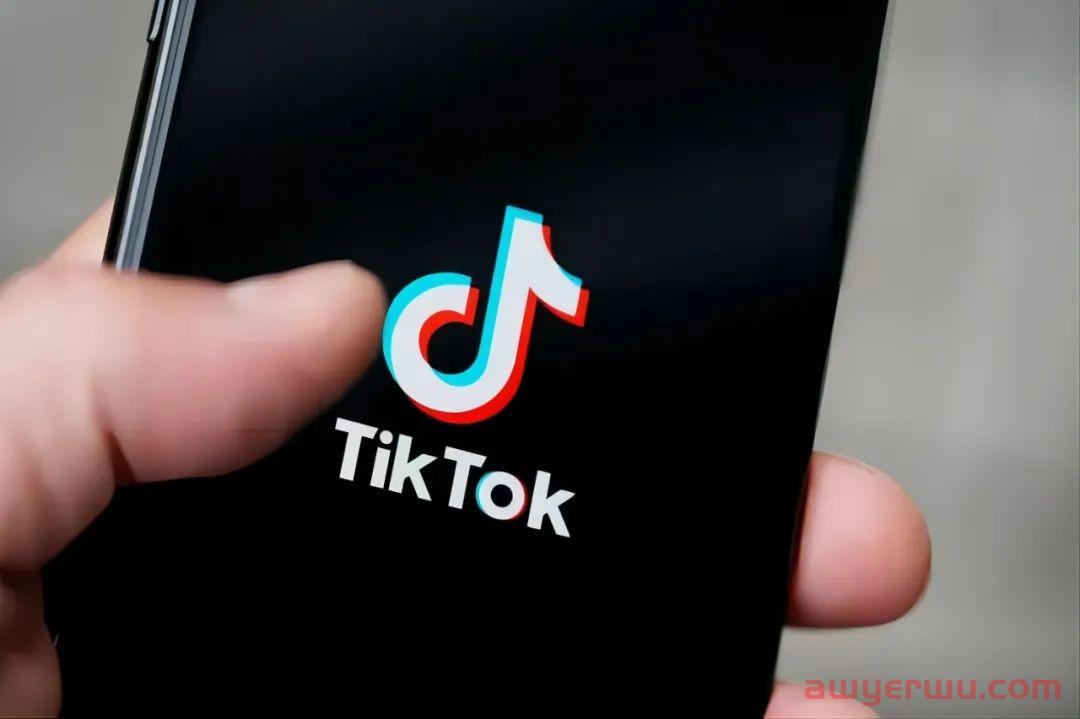 日出4000单！卖家在TikTok Shop大促中赚翻了！ 第2张