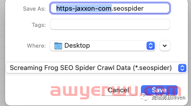 独立站SEO:Screaming Frog（尖叫青蛙）-网站SEO技术诊断图文教程 第20张