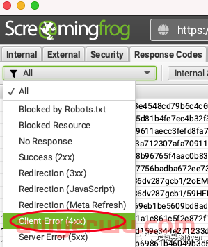 独立站SEO:Screaming Frog（尖叫青蛙）-网站SEO技术诊断图文教程 第25张