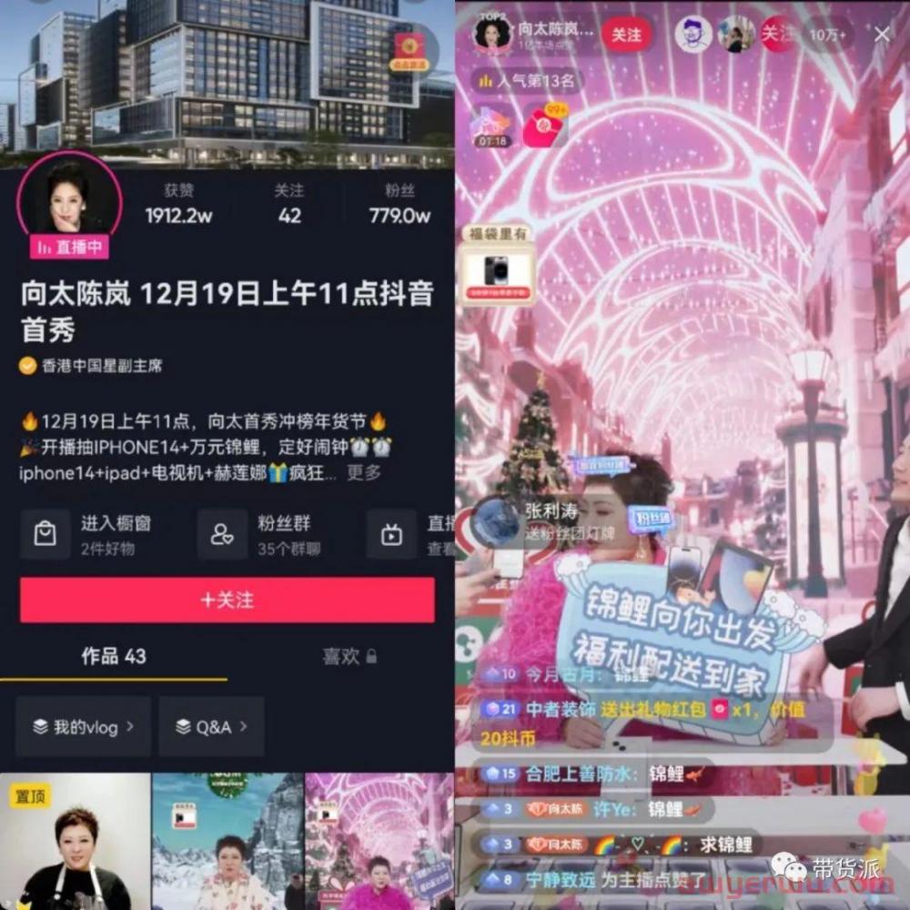 “彪悍富婆”向太直播带货首秀,三小时卖出一个亿 第1张 “彪悍富婆”向太直播带货首秀,三小时卖出一个亿 第1张