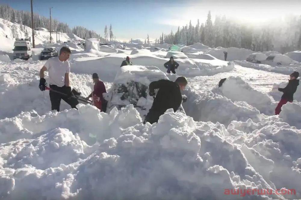 ​北美大雪下不停！极端天气+航班取消+圣诞放假+国内阳性增加，延误成定局！ 第1张