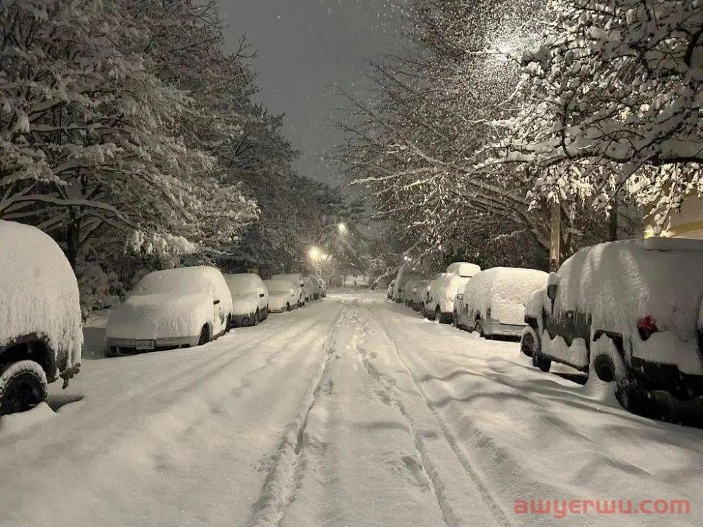 ​北美大雪下不停！极端天气+航班取消+圣诞放假+国内阳性增加，延误成定局！ 第4张