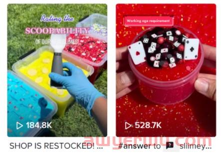 17岁卖家收入过百万!TikTok成00后财务自由新密码? 第3张 17岁卖家收入过百万!TikTok成00后财务自由新密码? 第3张