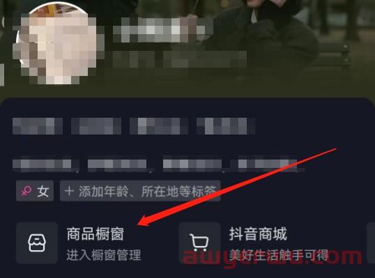 抖音小店如何关联橱窗?商品橱窗和小店有什么区别最全最详细的解答 第2张 抖音小店如何关联橱窗?商品橱窗和小店有什么区别最全最详细的解答 第2张