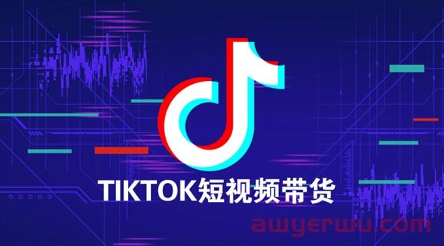 社交与电商，TikTok的冰火两重天 第4张