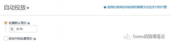 手把手教你创建亚马逊广告活动 第8张