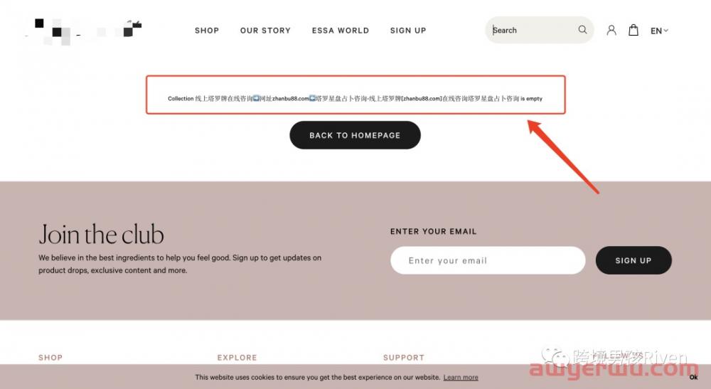 Shopify独立站卖家必看,你的网站99.9%已经被黑了! 第2张 Shopify独立站卖家必看,你的网站99.9%已经被黑了! 第2张