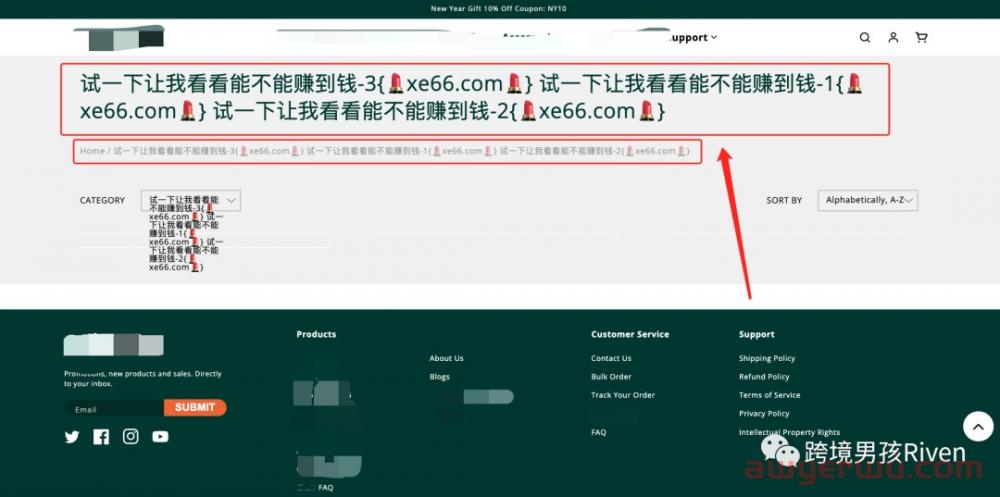 Shopify独立站卖家必看,你的网站99.9%已经被黑了! 第6张 Shopify独立站卖家必看,你的网站99.9%已经被黑了! 第6张