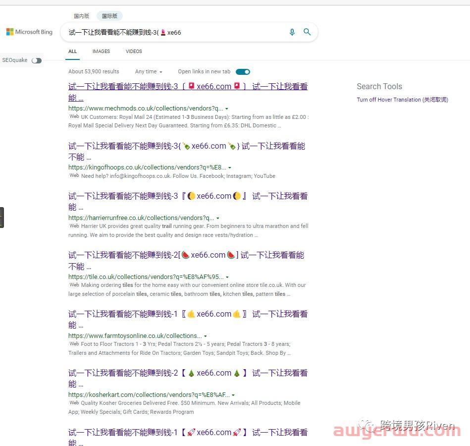 Shopify独立站卖家必看,你的网站99.9%已经被黑了! 第8张 Shopify独立站卖家必看,你的网站99.9%已经被黑了! 第8张