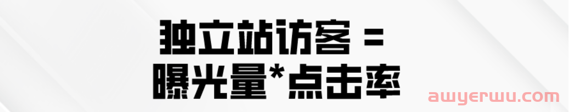 独立站如何盈利？低成本运营公式大揭秘 第4张