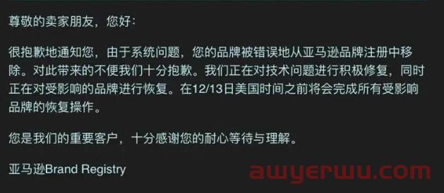 亚马逊订单出现意外，让卖家胆战心惊的那些BUG 第2张