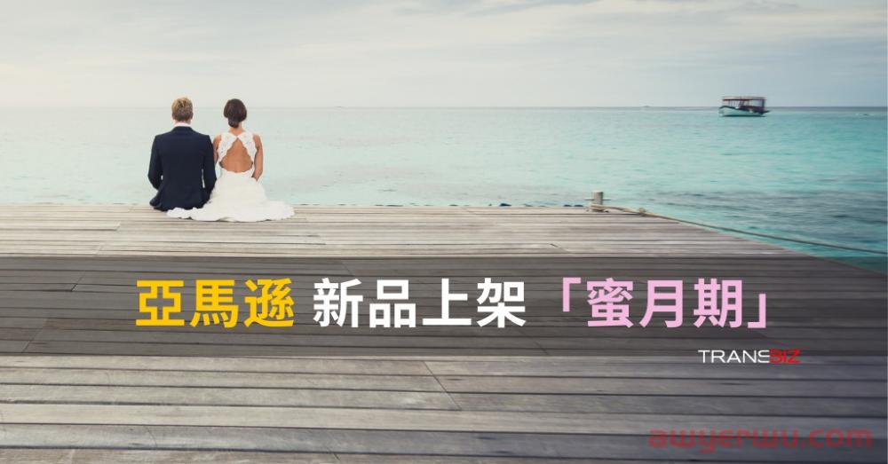 亚马逊卖家必了解的亚马逊SEO：A9算法[更新]更强调站外营销与消费者体验！ 第1张