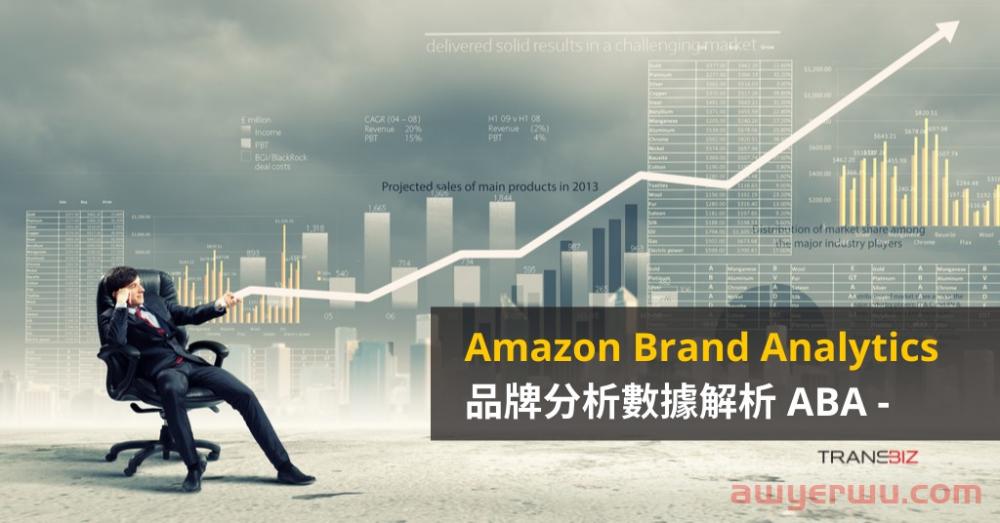 亚马逊生存法则:品牌电商做起来,否则事业没未来 第9张 亚马逊生存法则:品牌电商做起来,否则事业没未来 第9张