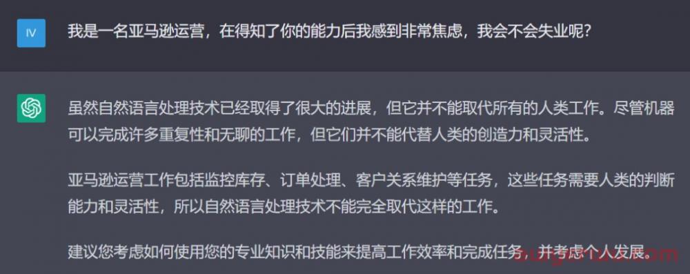 这个火遍全网的智能AI—— ChatGPT,会成为亚马逊运营的“最强辅助”还是“抢饭碗”? 第18张 这个火遍全网的智能AI—— ChatGPT,会成为亚马逊运营的“最强辅助”还是“抢饭碗”? 第18张