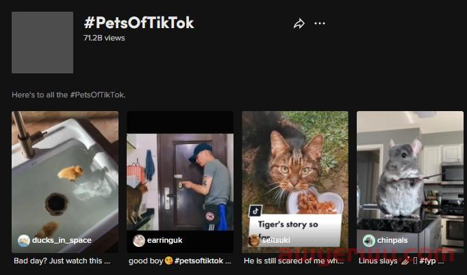 搜索热度高出峰值169%！TikTok情人节爆品大预测 第5张
