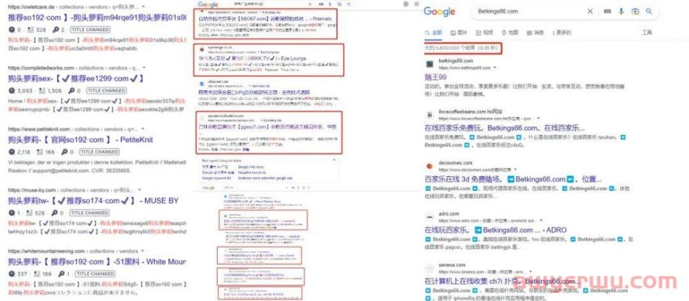 已有中国卖家中招！数百万独立站被黑，正在“悄悄死去” 第5张