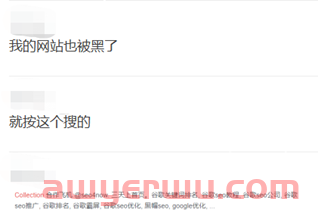 已有中国卖家中招！数百万独立站被黑，正在“悄悄死去” 第6张
