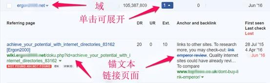 已有中国卖家中招！数百万独立站被黑，正在“悄悄死去” 第13张
