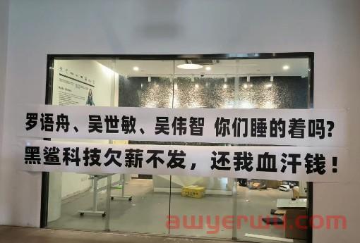 亚马逊3C品牌大卖黑鲨科技被爆拖欠员工离职补偿金，遭拉横幅讨薪！ 第2张
