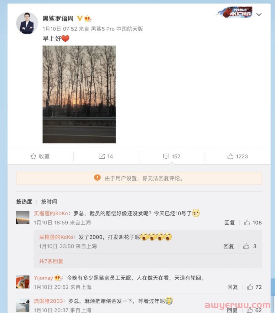 黑鲨科技1000员工裁至100,又有卖家退出亚马逊! 第3张 黑鲨科技1000员工裁至100,又有卖家退出亚马逊! 第3张