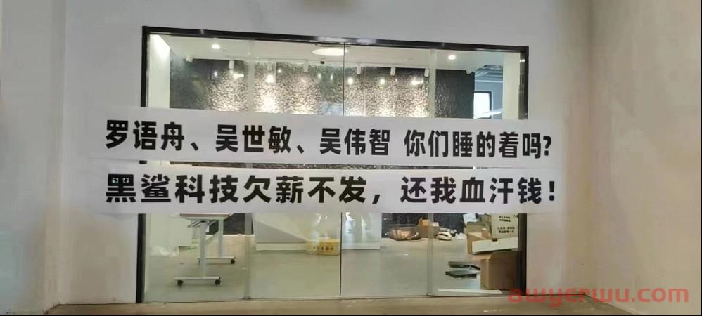 黑鲨科技1000员工裁至100,又有卖家退出亚马逊! 第5张 黑鲨科技1000员工裁至100,又有卖家退出亚马逊! 第5张