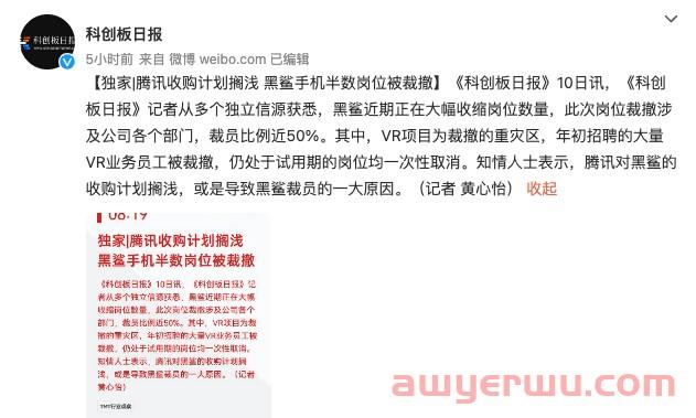 黑鲨科技1000员工裁至100,又有卖家退出亚马逊! 第6张 黑鲨科技1000员工裁至100,又有卖家退出亚马逊! 第6张