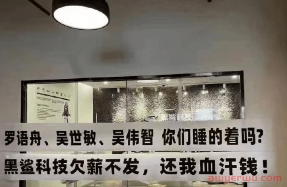 糟心！亚马逊3C大卖黑鲨科技裁员！CEO关机，员工拉横幅…… 第1张