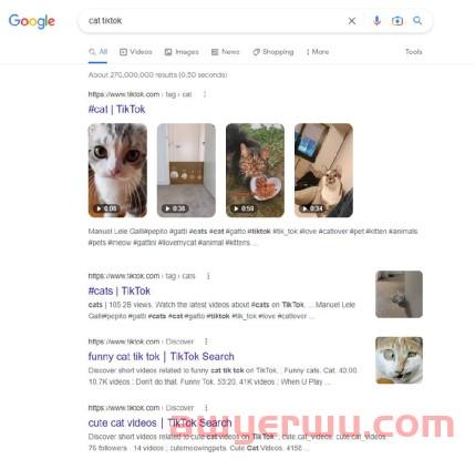 TikTok也能做SEO? TikTok SEO获取精准搜索流量方法! 第2张