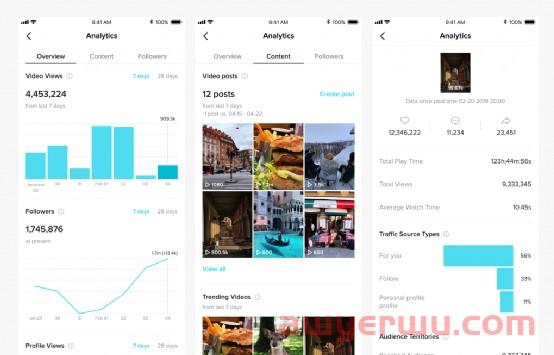 TikTok也能做SEO? TikTok SEO获取精准搜索流量方法! 第9张