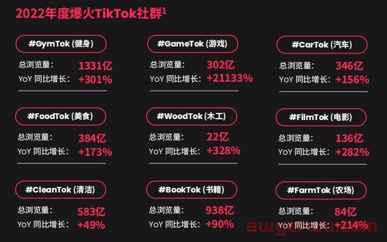 读懂TikTok 2023流行趋势:精华+实例,助你掌握9条爆单攻略 第4张 读懂TikTok 2023流行趋势:精华+实例,助你掌握9条爆单攻略 第4张