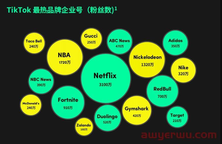 读懂TikTok 2023流行趋势:精华+实例,助你掌握9条爆单攻略 第14张 读懂TikTok 2023流行趋势:精华+实例,助你掌握9条爆单攻略 第14张