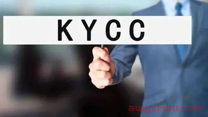 银行开户 | 开立海外银行账户，五分钟了解KYC与KYCC！ 第11张