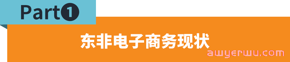东非市场与品类解读，如何赶上非洲电商的新窗口 第1张