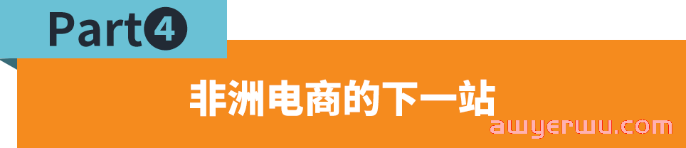 东非市场与品类解读，如何赶上非洲电商的新窗口 第8张