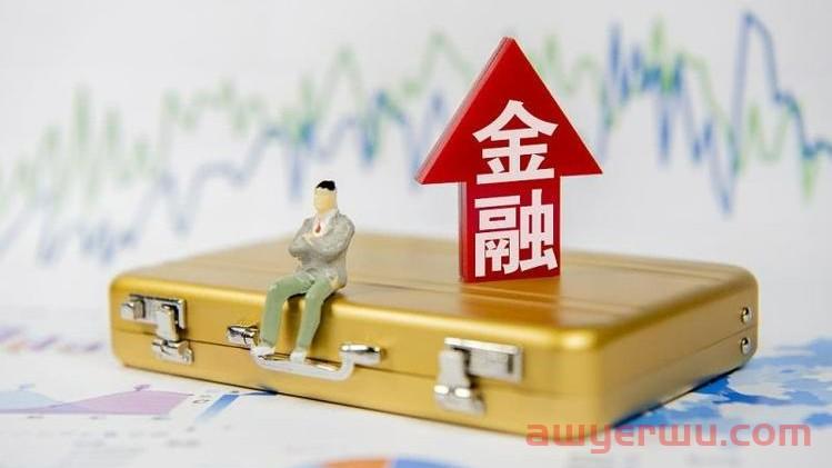 外汇管制下，大额资金如何合理合规转回国内？ 第2张